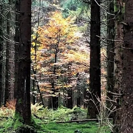 Lindenhof Am * ווינטרברג